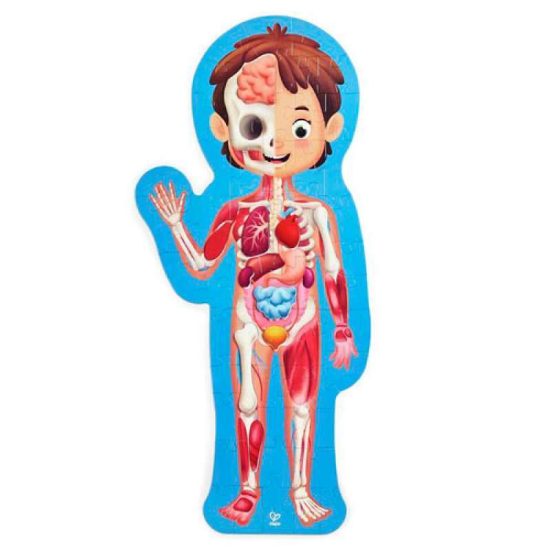PUZZLE HAPE CORPO UMANO
