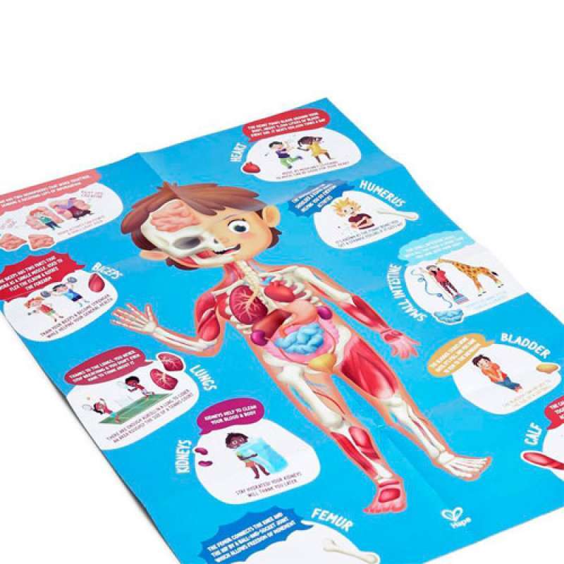 PUZZLE HAPE CORPO UMANO