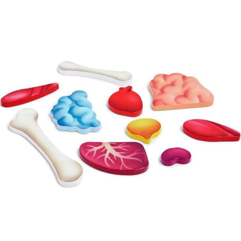 PUZZLE HAPE CORPO UMANO