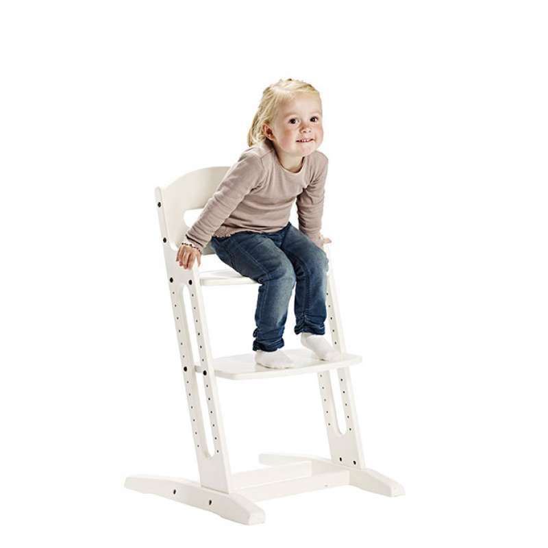SEGGIOLONE EVOLUTIVO BABYDAN DANCHAIR