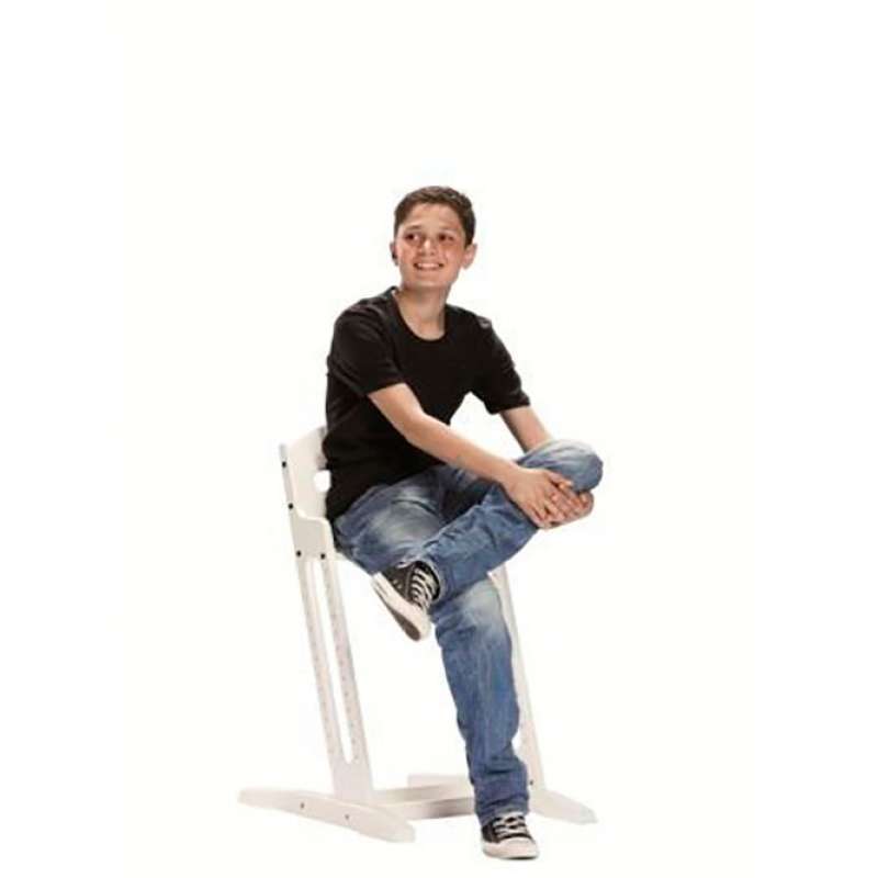 SEGGIOLONE EVOLUTIVO BABYDAN DANCHAIR