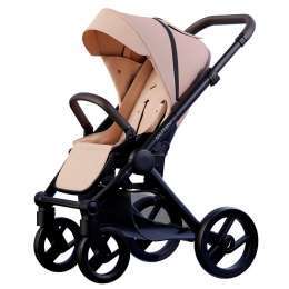 PASSEGGINI MUTSY EVO