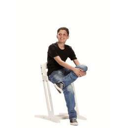SEGGIOLONE EVOLUTIVO BABYDAN DANCHAIR